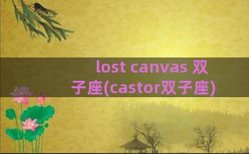 lost canvas 双子座(castor双子座)